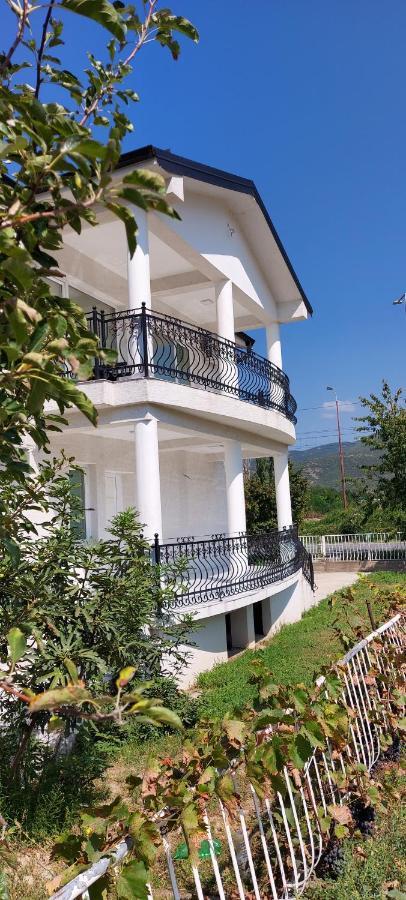 Villa Bratislava Demir Kapija Exterior foto